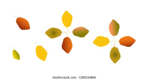 Autumns beech tree leaf useful, editable. And printable Perfect for use in a wide range of new media templates: can be used as greeting card, invitation card for wedding, birthday and other holiday