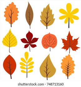 Autumns Leaves Collection. Vector Illustration. Autumn Leaf Clip Art.