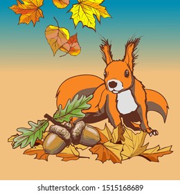 Autumn.Squirrel and oak nuts.Vector illustration. 