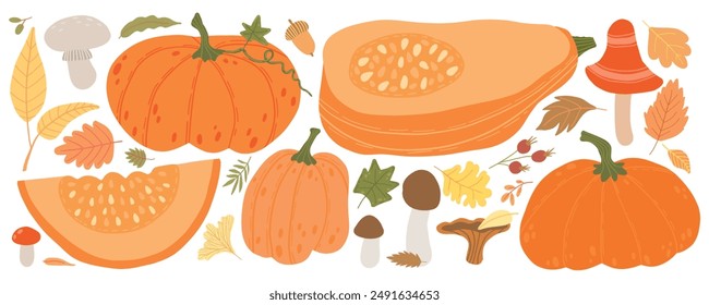 Autumn-themed illustration featuring various pumpkins, squash, mushrooms, and colorful fall leaves. Perfect for seasonal designs, Thanksgiving, Halloween decorations, and harvest festival graphics.