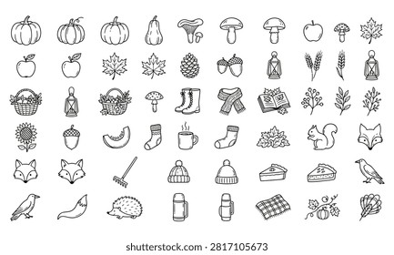 Autumn  Themed Illustrations
