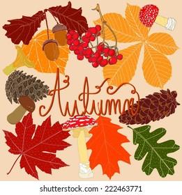 Autumn-vector made from original drawing