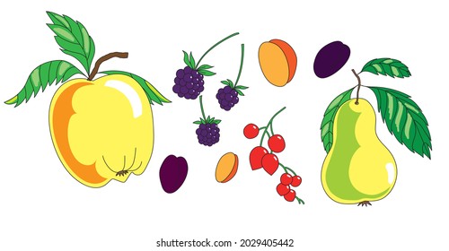 Autumn.Vector set. Apple, pear, plum,Hawthorn, blackberry, apricot, 
leaves. Harvest. Freehand flat illustration.
