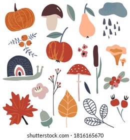Autums vector collection of fall leaves, berries, plants, fruits, pumpkin, mushrooms and branches.