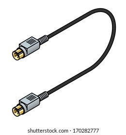 An AV (audio-video) cable. S-video.