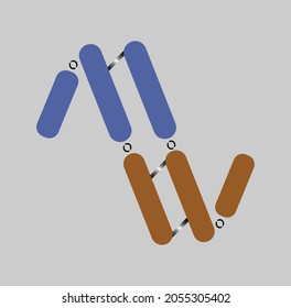 AV logo type very beautiful design