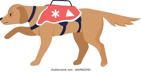 Avalanche Rettung Hund halb flach Farbe Vektorgrafik. Volles Körpertier auf Weiß. Rettungsmission. Fortgeschrittenes Suchtier einzeln auf moderne Cartoon-Art Illustration für Grafikdesign und Animation