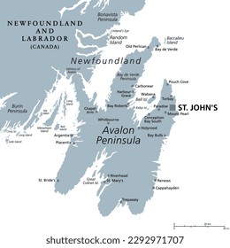 Avalon Peninsula, gray political map. Portion of the island of Newfoundland, off the coast of mainland North America, part of Canadian province of Newfoundland and Labrador, with capital St. Johns.