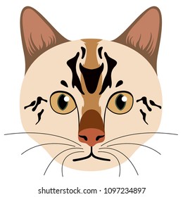 Avatar of a cat. Cat breeds