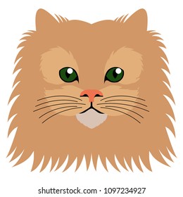 Avatar of a cat. Cat breeds