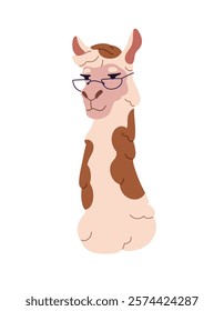 Avatar of happy smart guanaco llama in glasses. Muzzle of cute alpaca character in eyeglasses. Head of clever lama with eyewear, spectacles. Flat isolated vector illustration on white background