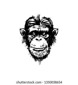 avatar vector hipster monkey illustration