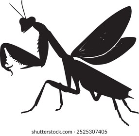 Avector silhoutte image of a mantis icon with a white background