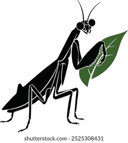 Avector silhoutte image of a mantis icon with a white background