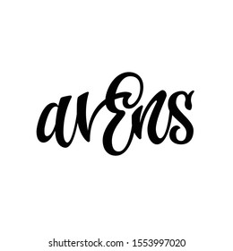 Avens - hand drawn spice label. Isolated calligraphy script style word. Vector lettering design element. 