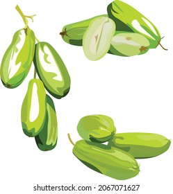 Averrhoa Bilimbi Linn Fruit Vector Illustration