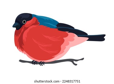 Avian animal and species, isolated bullfinch with red plumage and colorful feathers on the tail. Portrait of bird sitting on branch in park or outdoors, natural habitat. Vector in flat style
