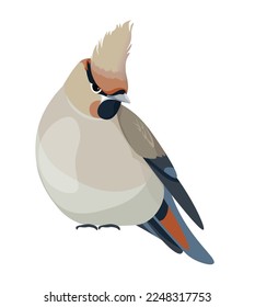 Avian animals with plumage, isolated songbird with colorful feathers on body and tail. Species of woodlands or natural habitats, portrait of wild species of nature. Vector in flat style illustration