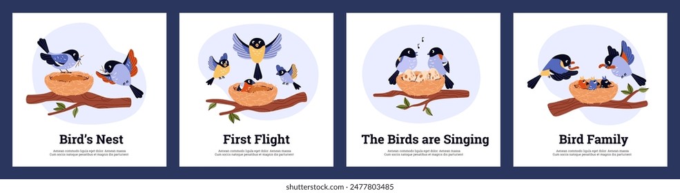 Avian family milestones. Vector illustration series showing nest construction, feeding, the first flight, and a song-filled family moment.