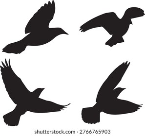 Avian flight poses, wing span variations, vector graphics.