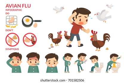 Avian flu infographic.