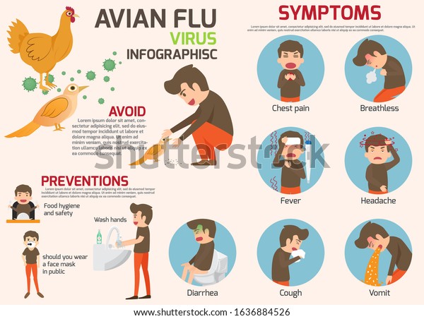 Avian flu infographic elements. Bird flu\
disease. Discussion on bird flu virus and symptoms. Health and\
medical concept vector\
illustration.