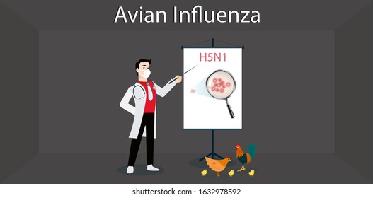 Avian influenza. Enlarged image of H5N1 in chicken.