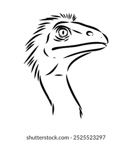 Avimim dinosaur vector sketch realistic sketch dinosaur, vector illustration