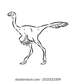 Avimim dinosaur vector sketch realistic sketch dinosaur, vector illustration