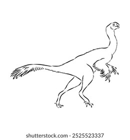 Avimim dinosaurio Vector boceto realista dinosaurio, Ilustración vectorial