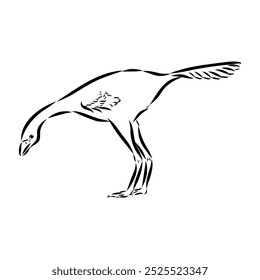 Avimim dinossauro vetor esboço realista esboço dinossauro, ilustração vetorial