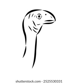 Avimim dinossauro vetor esboço realista esboço dinossauro, ilustração vetorial
