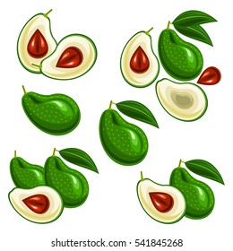 Avocado