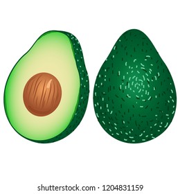 avocado or alligator pear
