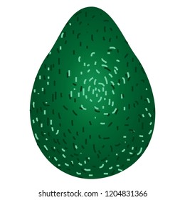 avocado or alligator pear
