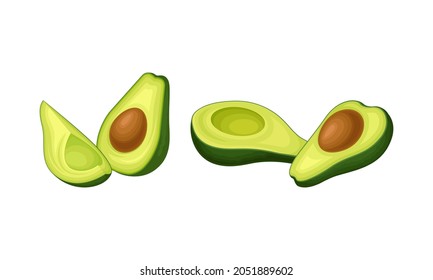 Avocado or Alligator Pear as Large Edible Berry with Seed Vector Set