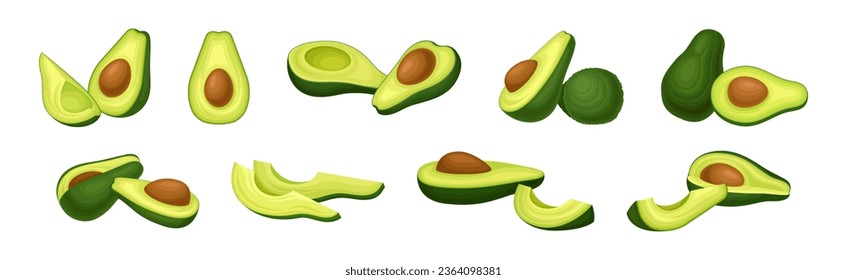 Avocado or Alligator Pear as Large Edible Berry with Seed Vector Set