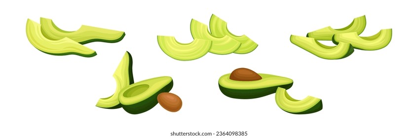 Avocado or Alligator Pear as Large Edible Berry with Seed Vector Set