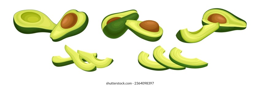 Avocado or Alligator Pear as Large Edible Berry with Seed Vector Set