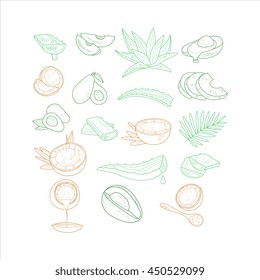 Avocado, Aloe And Coconut From Different Angles Hand Drawn Artistic Sketch