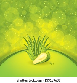 Avocado and Aloe Vera concept design vector