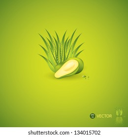 Avocado and Aloe Vera concept design vector