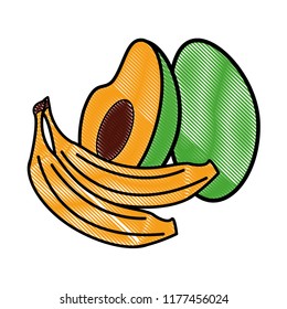 Avocado and bananas scribble