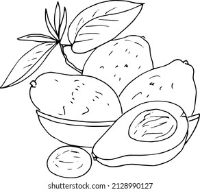 Avocado in the basket .Doodles ,vector,black and white illustration,coloring book for adults and children.