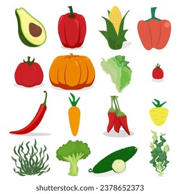 Avocado Bell, spicy red and chilli peppers carrot lettuce corn tomato pumpkin seaweed cucumber lettuce Vegetable set vector illustration design