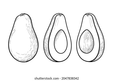 Aguacate, dibujo en blanco y negro. Vocado entero, cortado en medio aguacate. Ilustración vectorial, aislada en un fondo blanco.