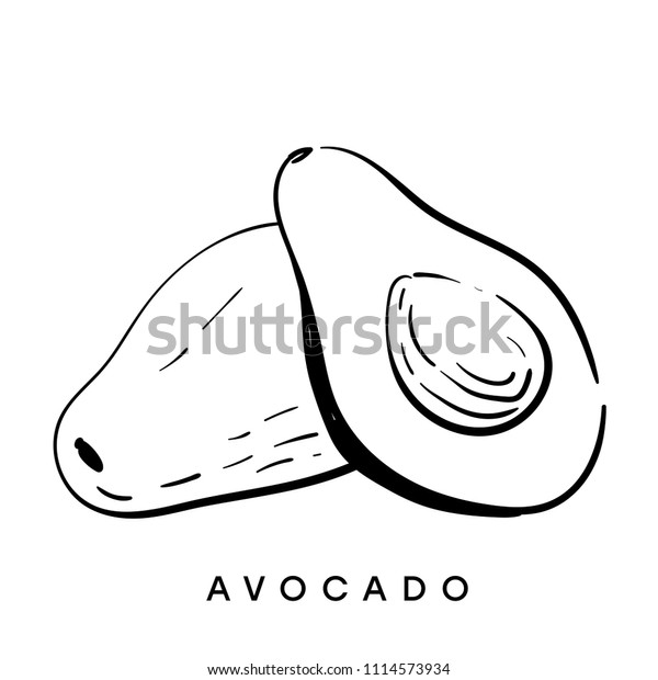 アボカド 白黒のスケッチ ベクターイラスト 熱帯の果物の分離型イラスト 食べ物 のベクター画像素材 ロイヤリティフリー