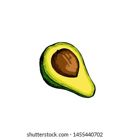 Avocado botanical hand drawn Isolated vector illustration. Organic vegetarian product. Avocado symbol applicable for restaurant menu or packaging, label, poster, print. Engraving style