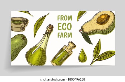 Avocado card. Green template. Banner of organic natural bio product. Vegetarian Food. Oil in the bottle. Isolated Vector hand drawn. Vintage Poster Engraved monochrome sketch