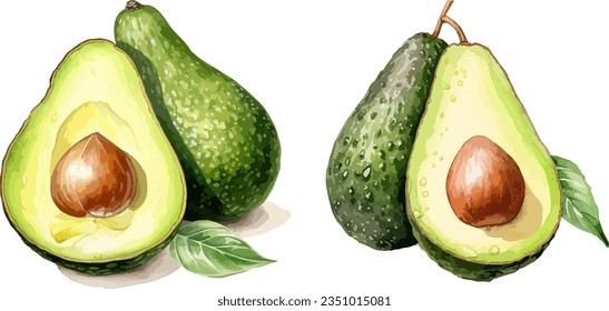 Avocado clipart, isolated vector illustration.